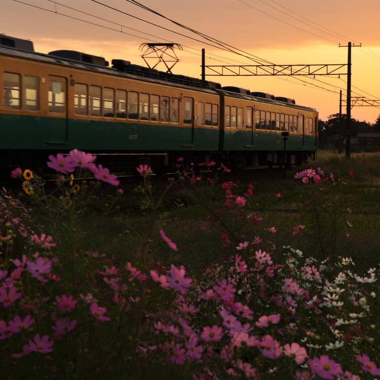 富山県内 観光お立ち寄りリンク集