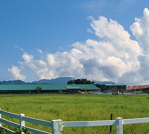 黒部の風景