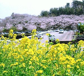 黒部の風景