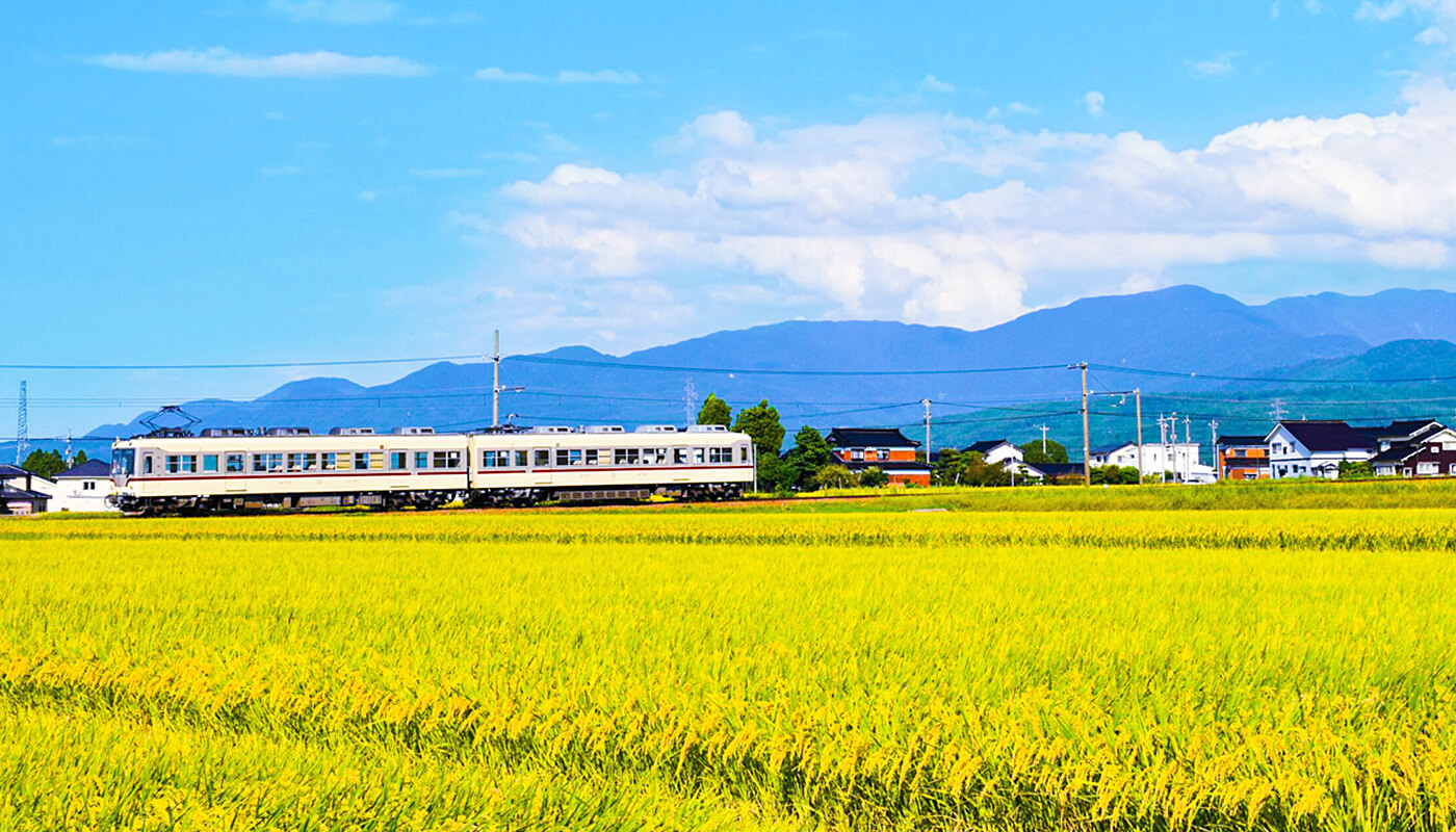 稲穂と地鉄電車