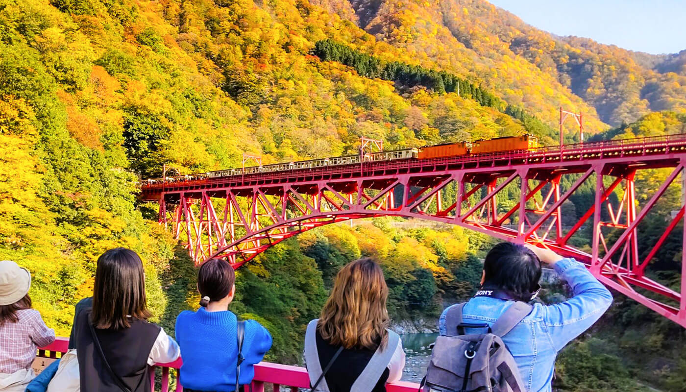 紅葉に色づく宇奈月の山々とトロッコ電車