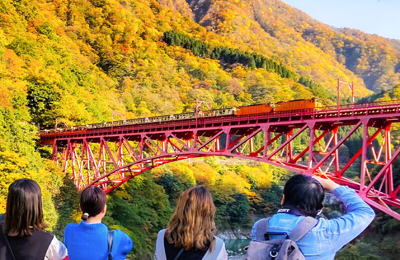 紅葉に色づく宇奈月の山々とトロッコ電車