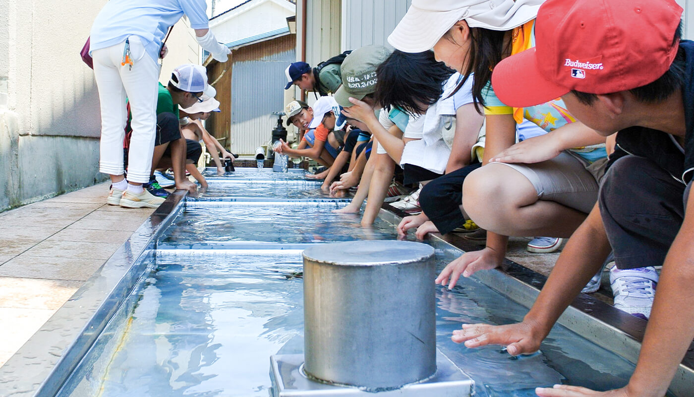 生地の清水と観光ガイド