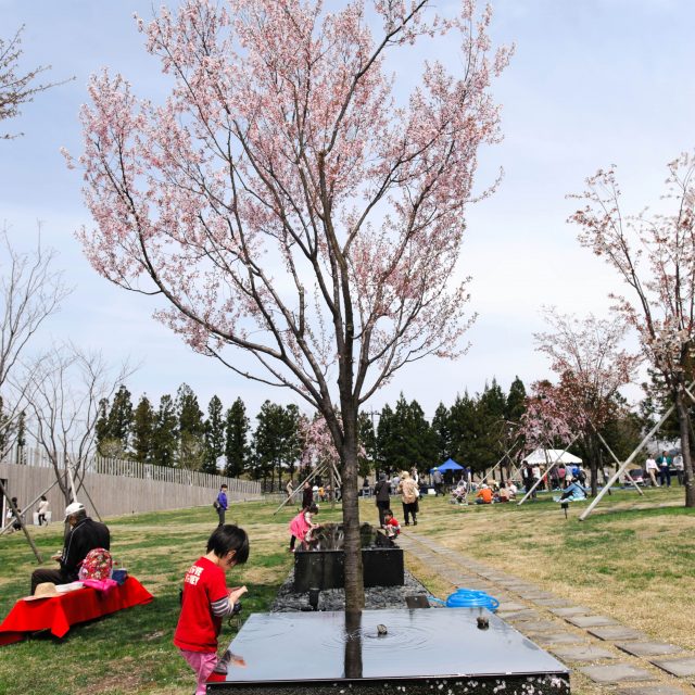 桜花園