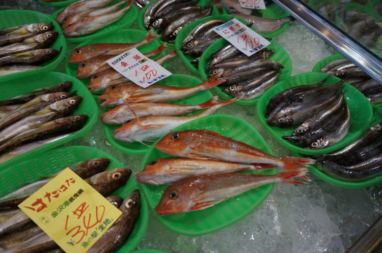 魚の駅「生地」 (5)