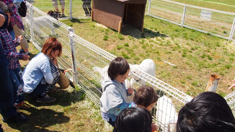 くろべ牧場