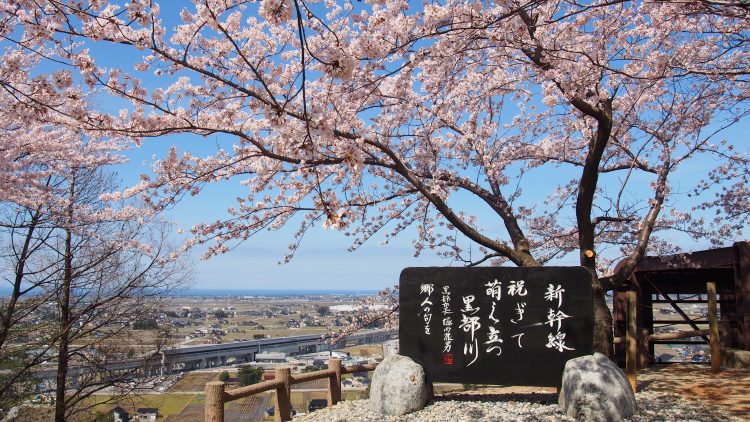 宮野山からの景色