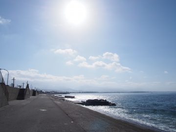 北方領土ツアー