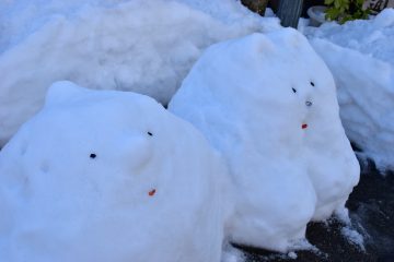 雪像（河鹿）