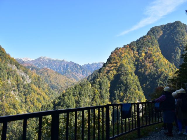 パノラマ展望ツアー