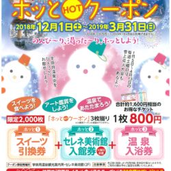 ホットクーポン2018