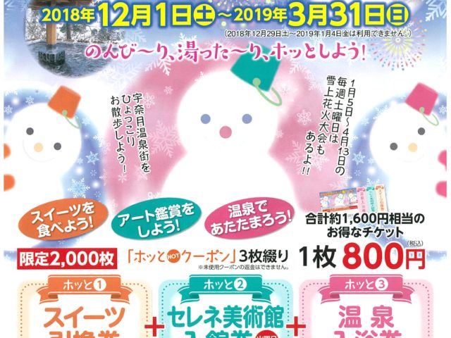 ホットクーポン2018