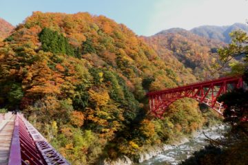 黒部峡谷の紅葉