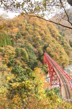 黒部峡谷の紅葉