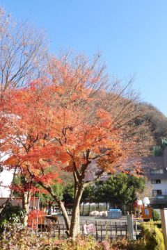 宇奈月温泉街の様子4