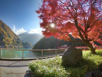 紅葉の宇奈月温泉3