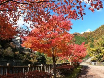 紅葉の宇奈月温泉