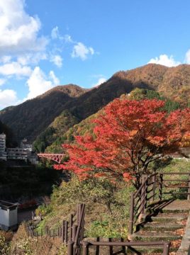 紅葉の宇奈月温泉2