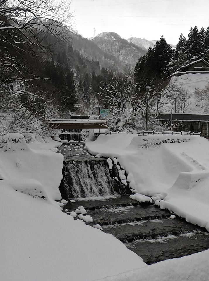 昨日夕方からの雪でようやく 冬の宇奈月温泉 らしい景色になりました 投稿 黒部めぐり 黒部 宇奈月温泉観光局 公式サイト